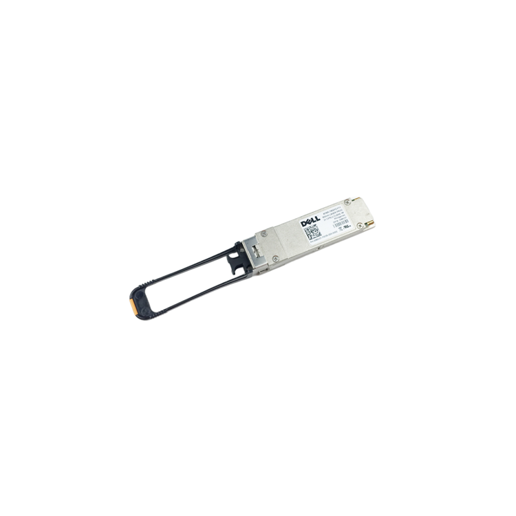 00MV31